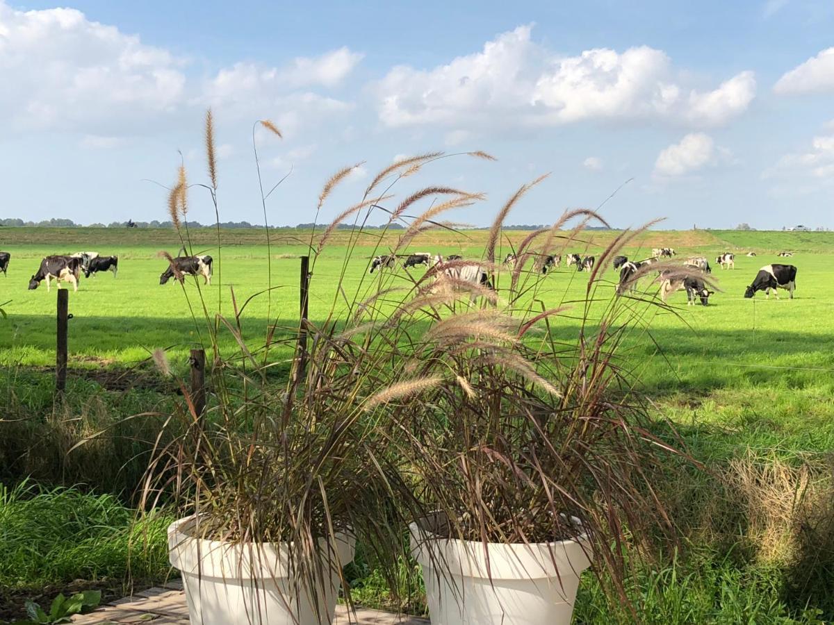 לינה וארוחת בוקר Sint Jansklooster Het Leeuwterveld מראה חיצוני תמונה
