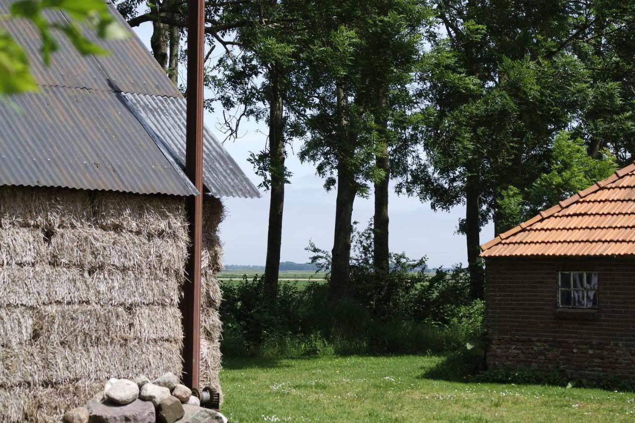 לינה וארוחת בוקר Sint Jansklooster Het Leeuwterveld מראה חיצוני תמונה